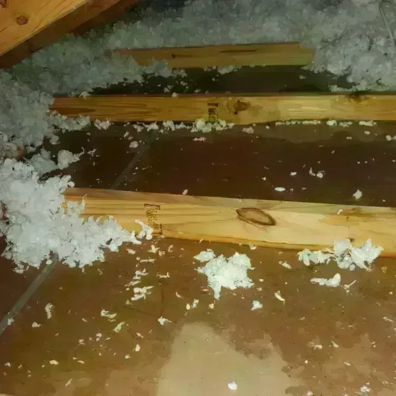 Attic Water Damage in Horse Pasture, VA